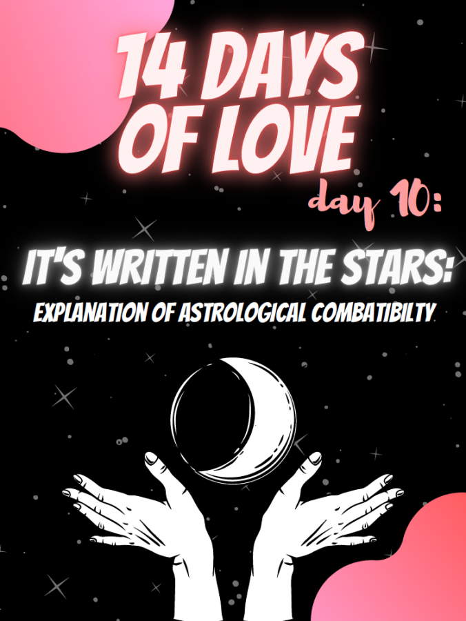 14 Days Of Love Day 10 A Guide To Astrological Compatibility The Panther