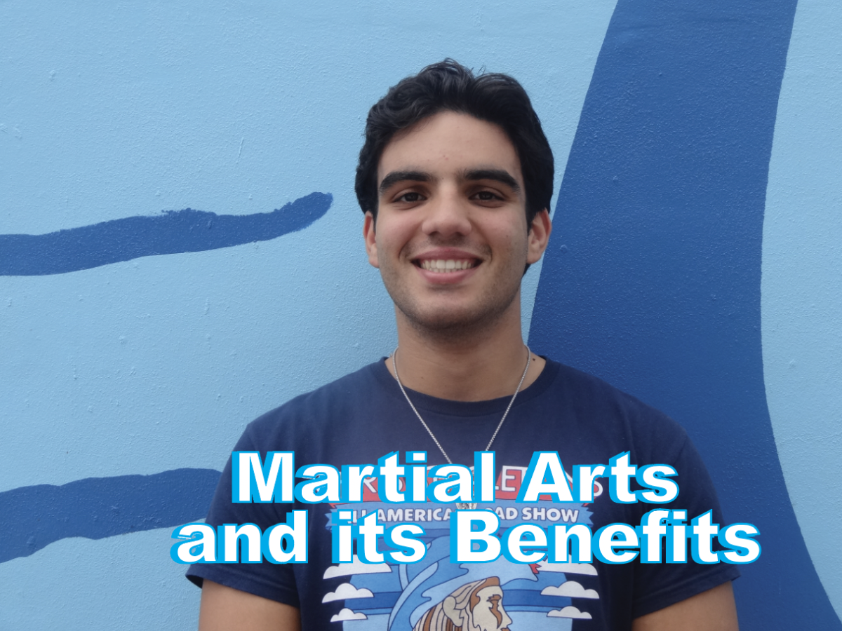 The Power of Self-Defense Through Martial Arts