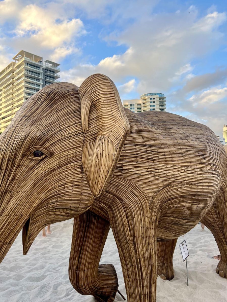 Miami Art Week 2024: Unveiling the new Art Installations and Must-See Highlights